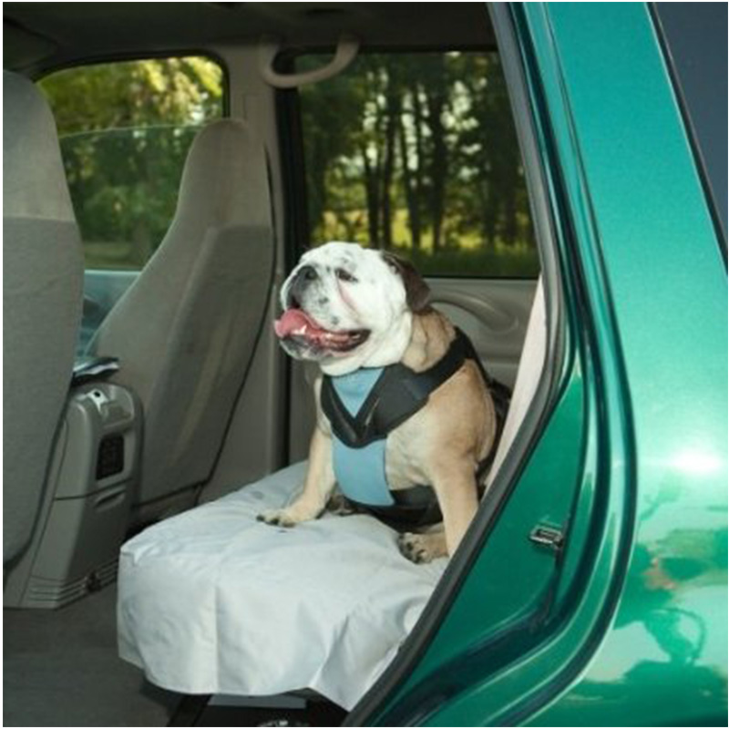 Dog Auto Harness W/ Tether XLarge Naturally For Pets